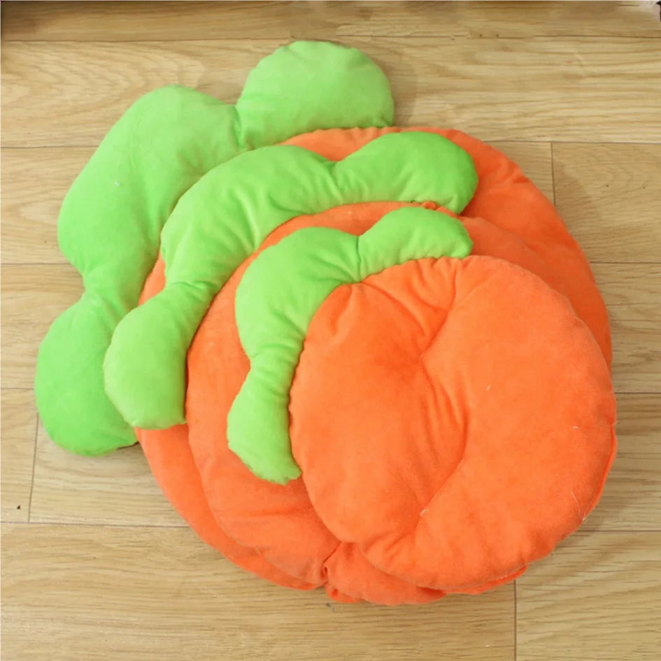LoryPets Carrot Snuggle Mat