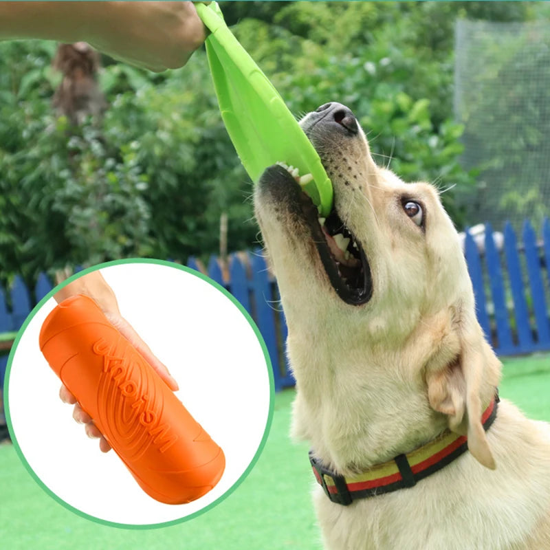 LoryPets Flexible Silicone Flying Disc