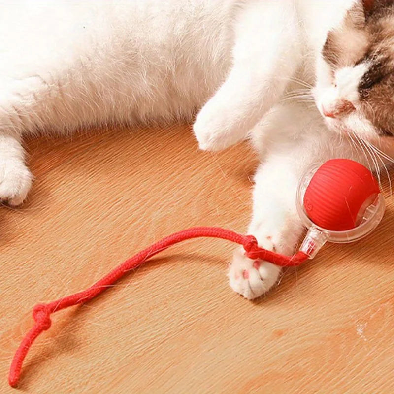 LoryPets™ Interactive Smart Ball for Cats
