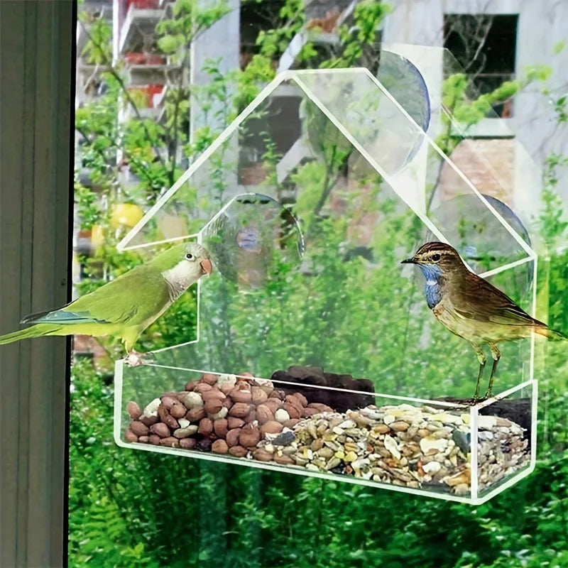 LoryPets Window-Mount Bird Feeder