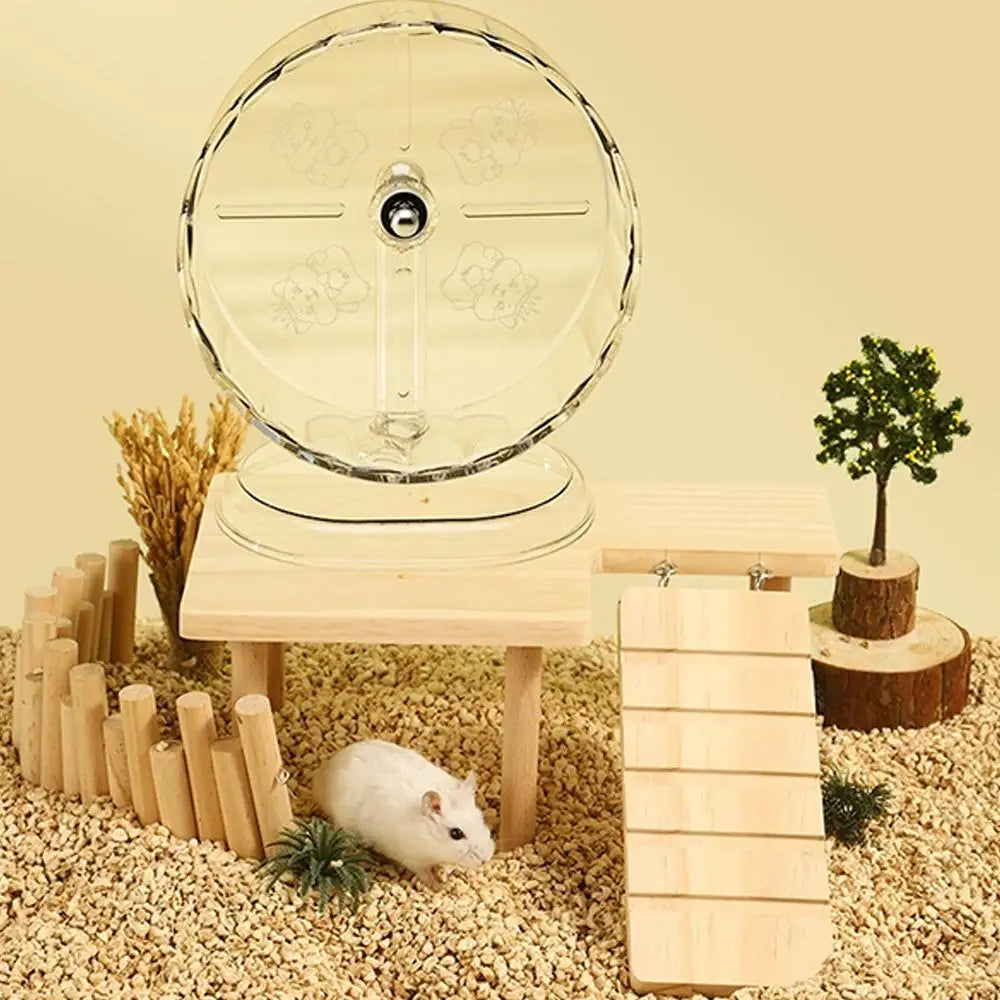 LoryPets Silent Crystal Wheel