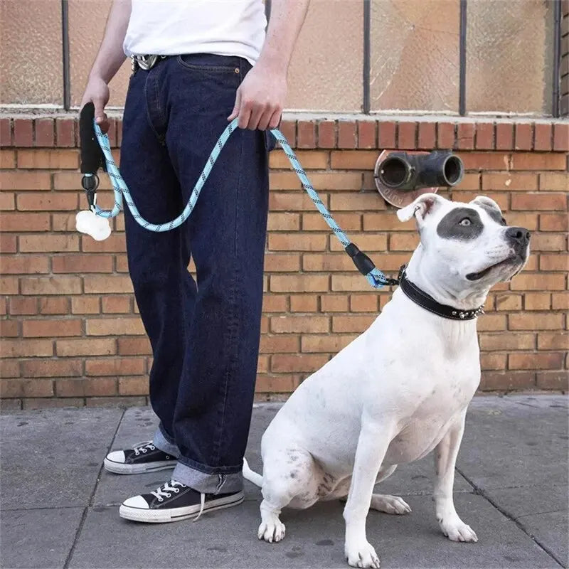 LoryPets Durable Reflective Dog Leash – Comfortable Padded Traction Rope
