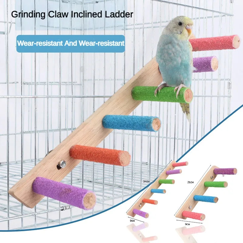 LoryPets Multi-Step Bird Activity Ladder