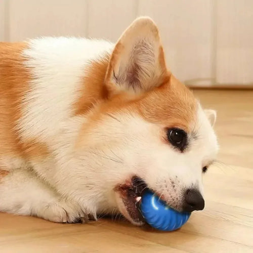 LoryPets Automatic Moving Bouncing Toy Ball – Keep Your Pet Active!
