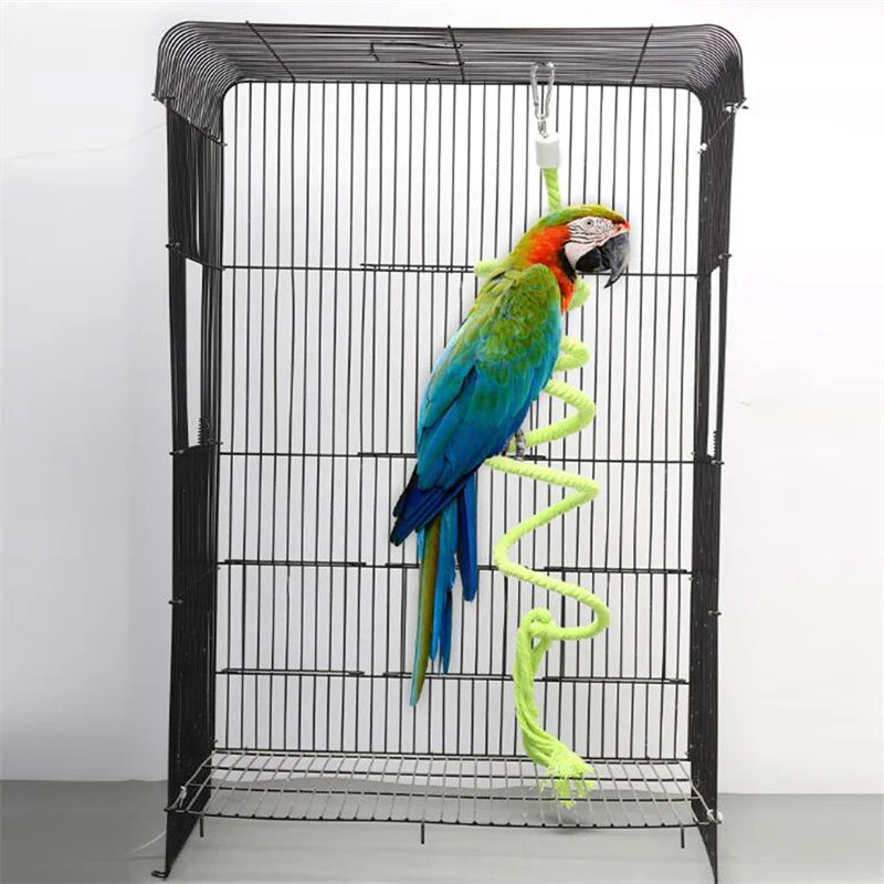 LoryPets Spiral Bungee Bird Perch