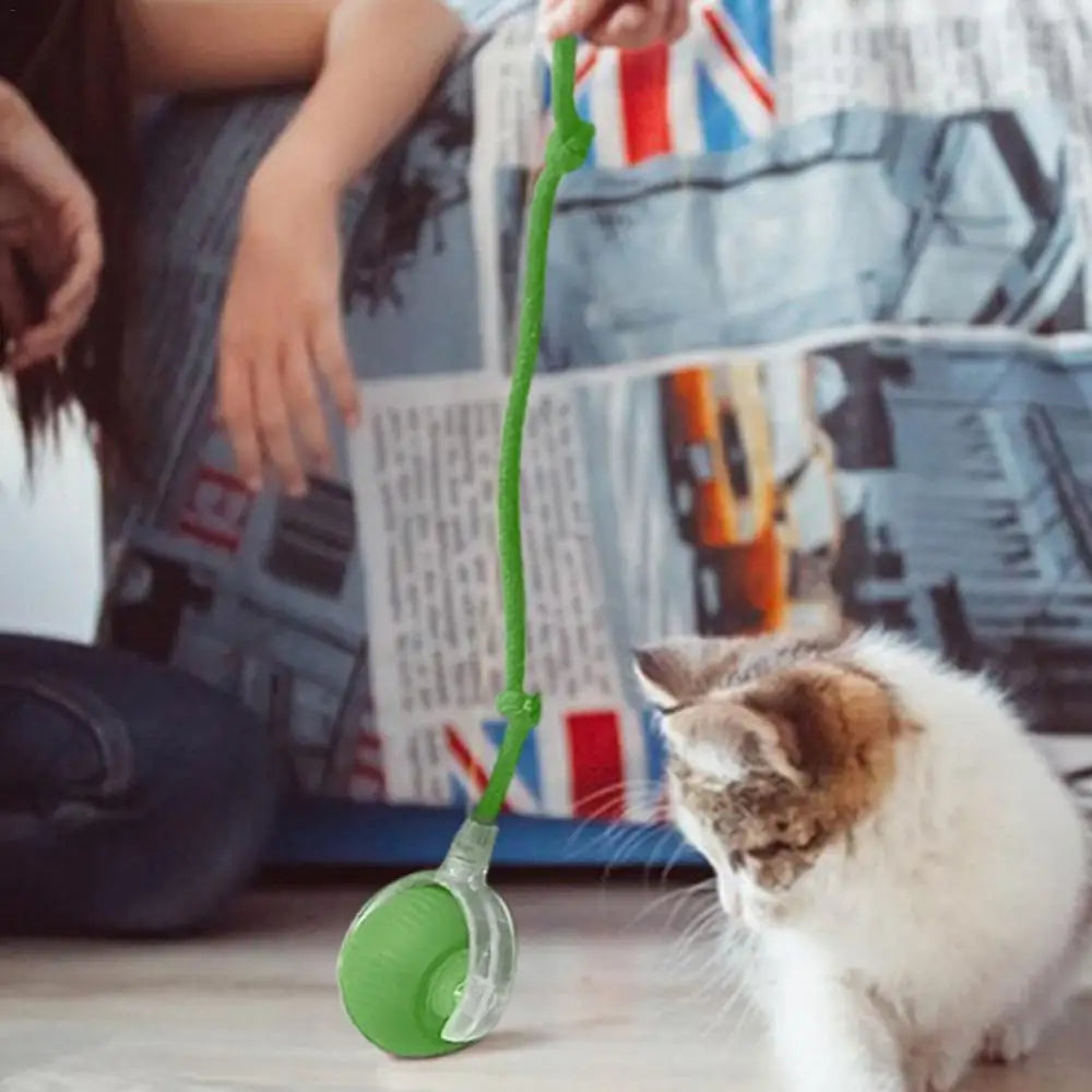 LoryPets™ Interactive Smart Ball for Cats