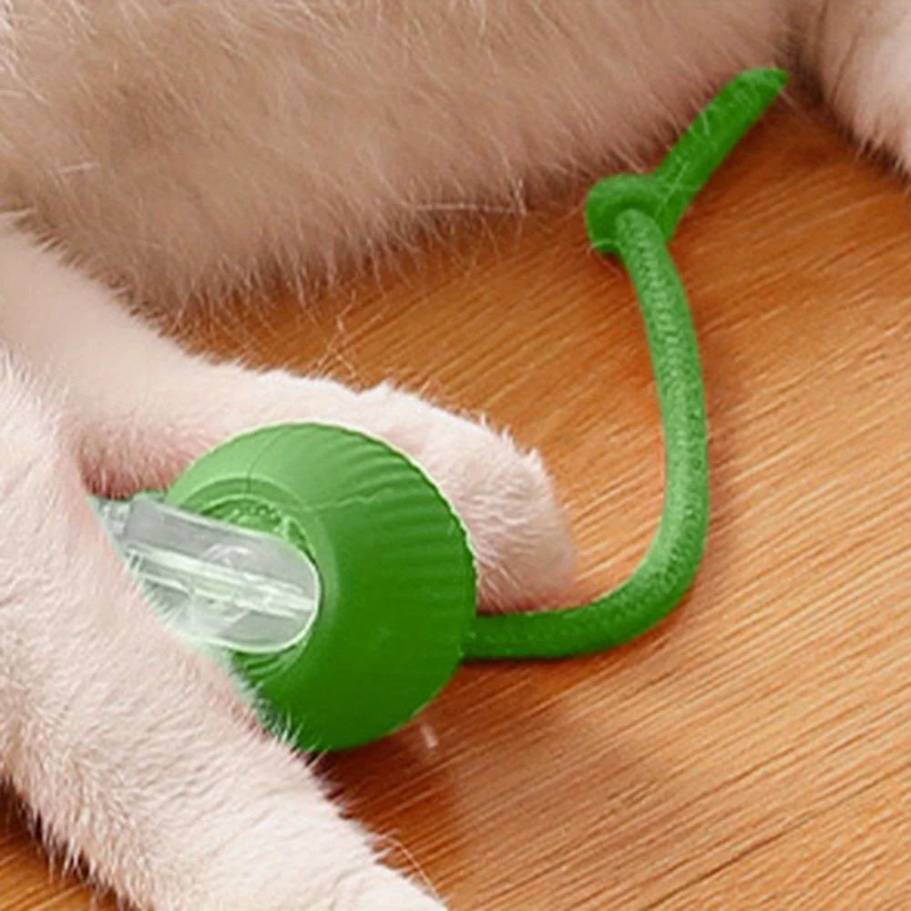 LoryPets™ Interactive Smart Ball for Cats