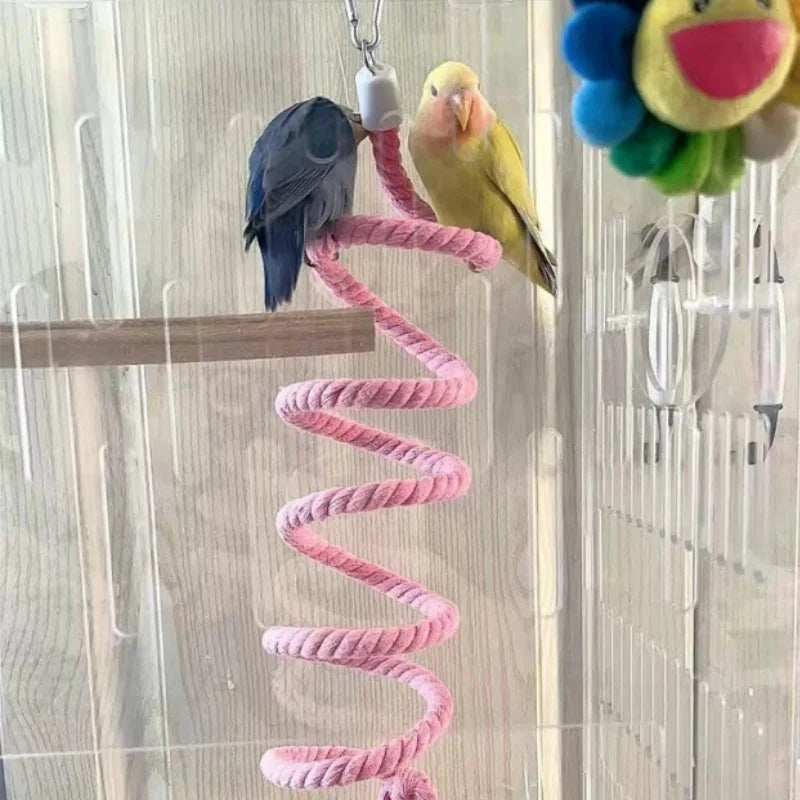 LoryPets Spiral Bungee Bird Perch