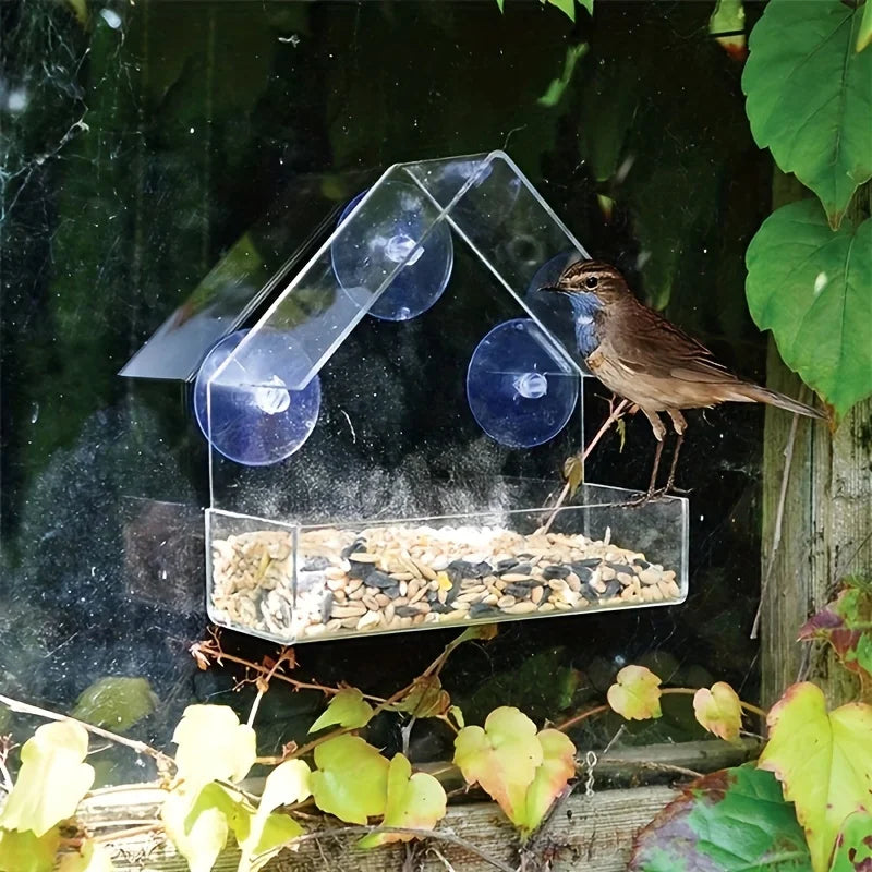 LoryPets Window-Mount Bird Feeder