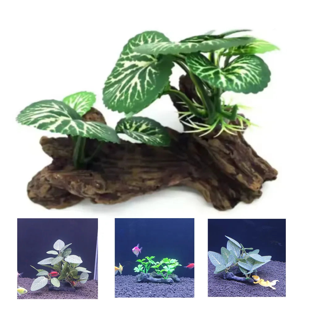 LoryPets Natural Tree Trunk Decor