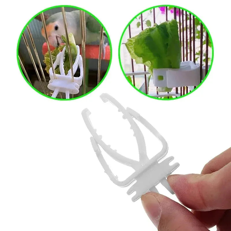 LoryPets Fresh-Feed Bird Clip