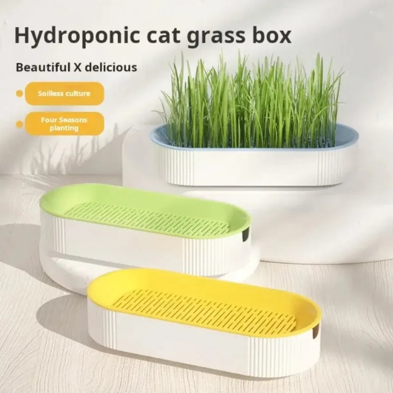 LoryPets Hydroponic Cat Grass Box – Mess-Free Soilless Pet Plant Set