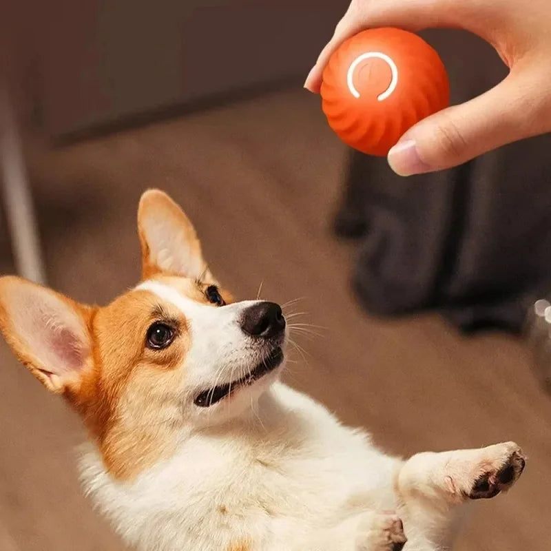 LoryPets Automatic Moving Bouncing Toy Ball – Keep Your Pet Active!
