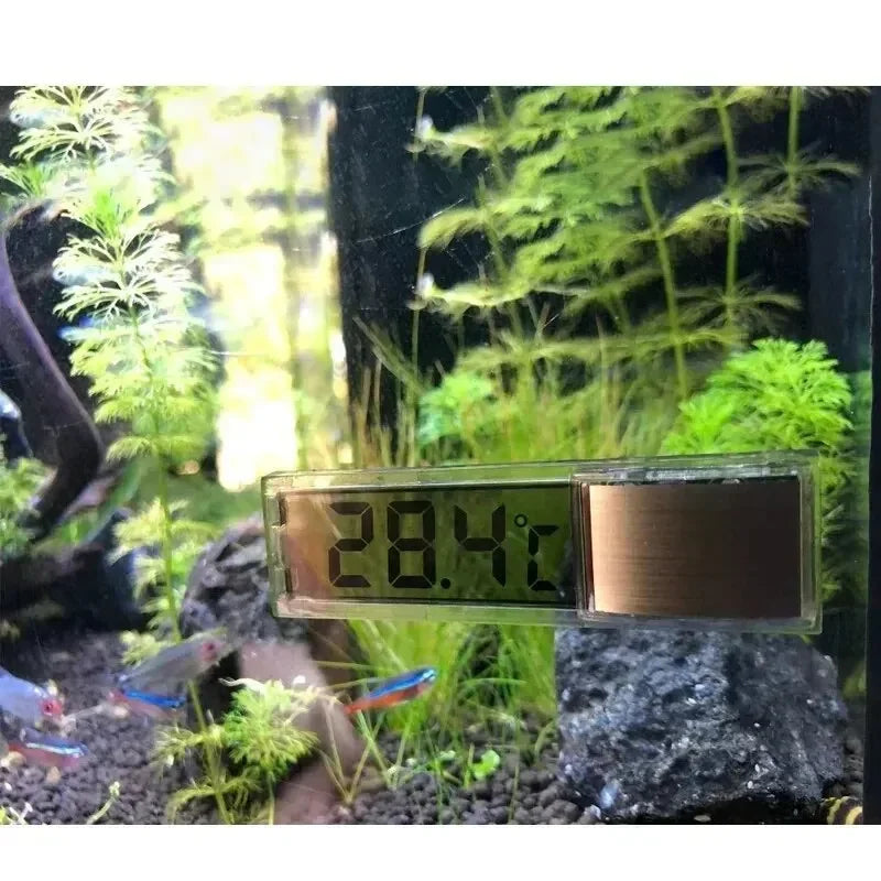 LoryPets Precision Digital Thermometer