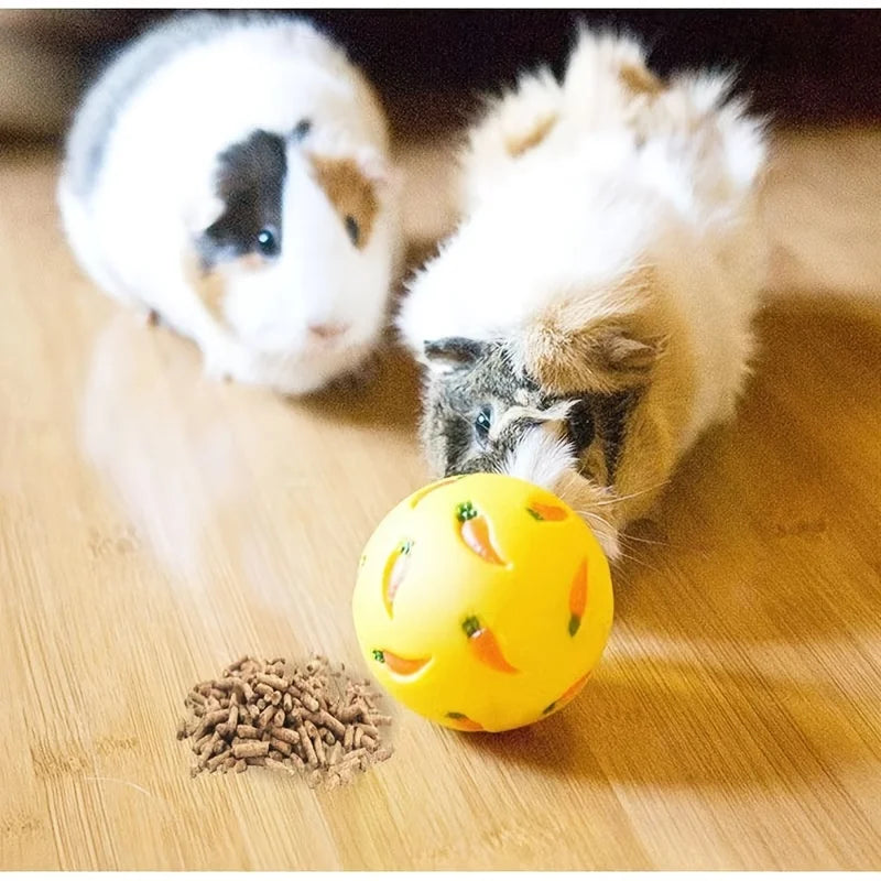 LoryPets Interactive Snack Ball