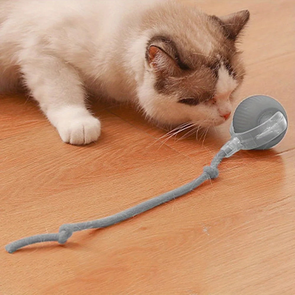 LoryPets™ Interactive Smart Ball for Cats